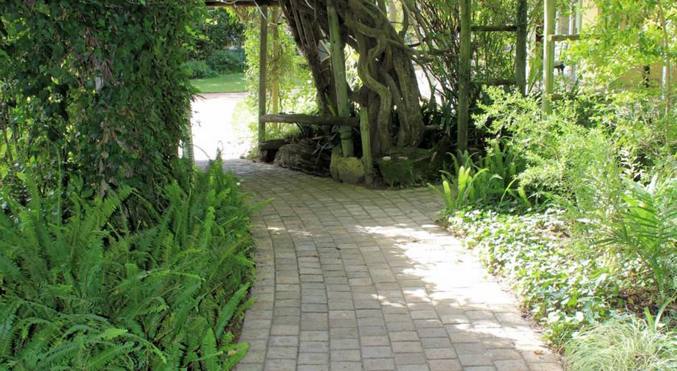 Hacklewood Hill Country House Port Elizabeth Exteriér fotografie