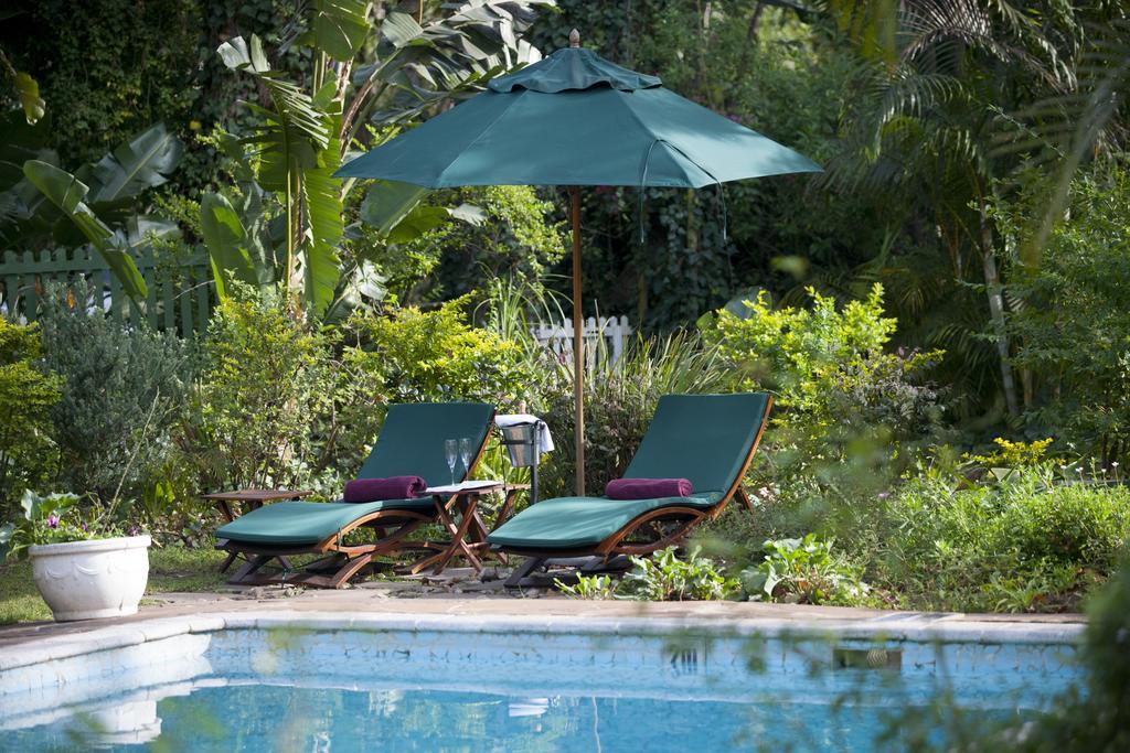 Hacklewood Hill Country House Port Elizabeth Exteriér fotografie